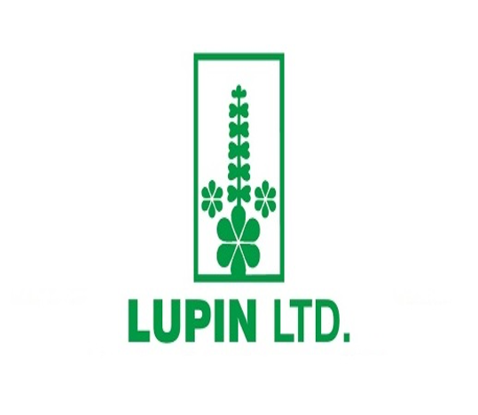 Lupin